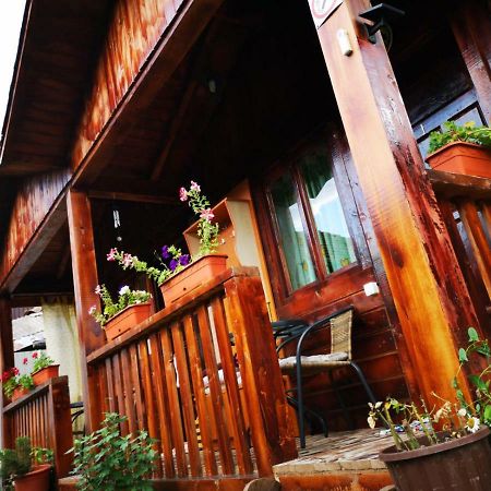 Casa Bunicilor Otel Călimăneşti Dış mekan fotoğraf