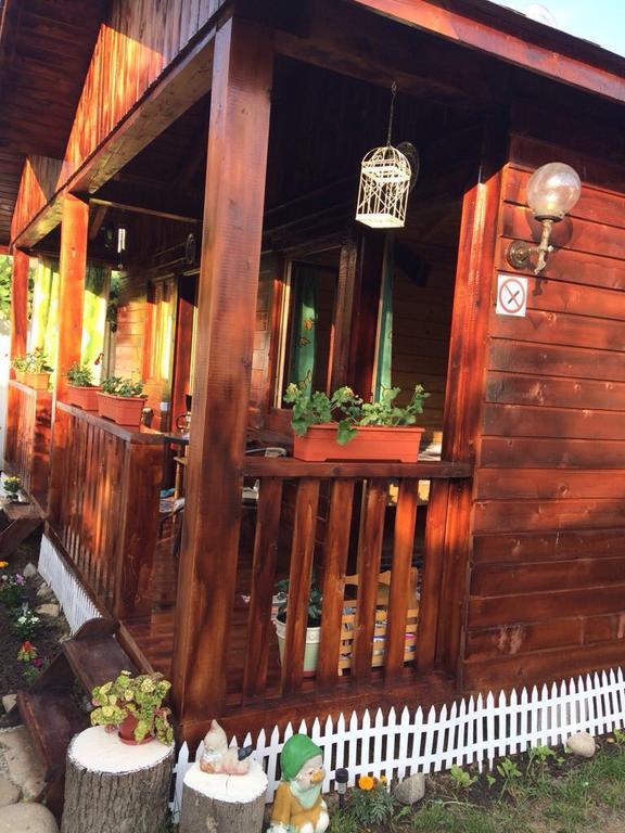 Casa Bunicilor Otel Călimăneşti Dış mekan fotoğraf